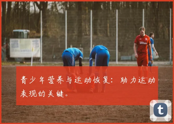 青少年营养与运动恢复：助力运动表现的关键。